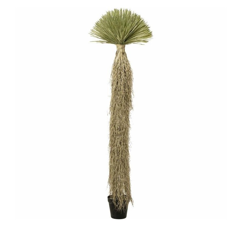 KARE roślina dekoracyjna YUCCA ROSTRATA   240 cm