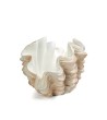 KARE wazon dekoracyjny CONCHA 29 cm