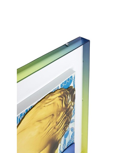 Obraz FANCY APOLLO 80x80 cm