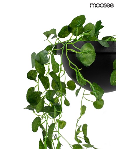 MOOSEE lampa ścienna PLANT WALL czarna
