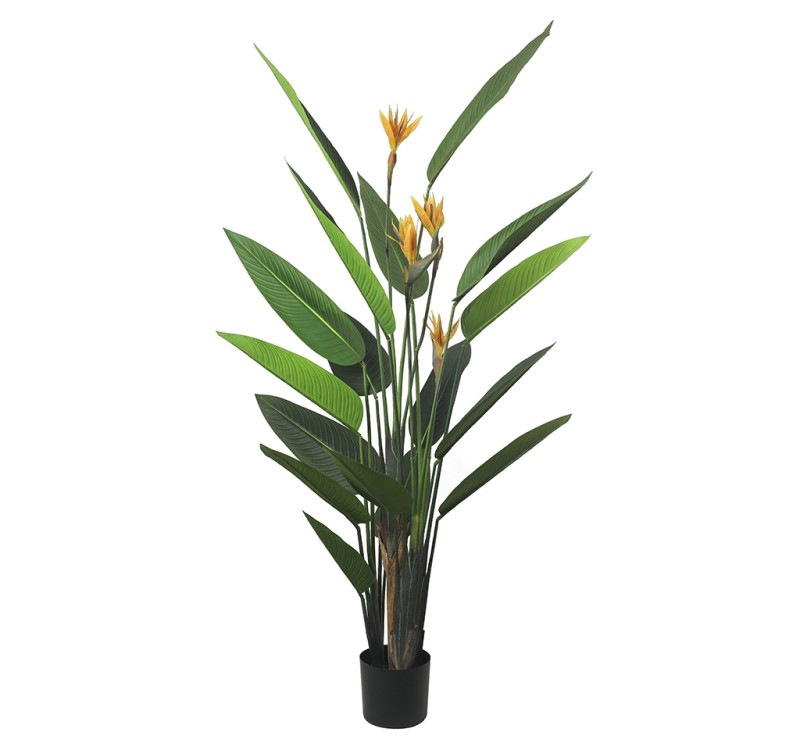 KARE roślina dekoracyjna PARADISE         FLOWERS 190 cm